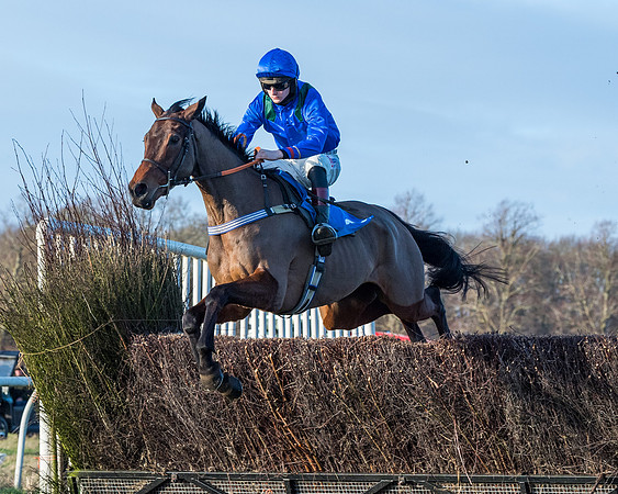 Race 5 - The Restricted Race (49 of 69)