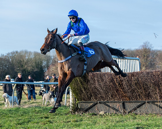 Race 5 - The Restricted Race (51 of 69)