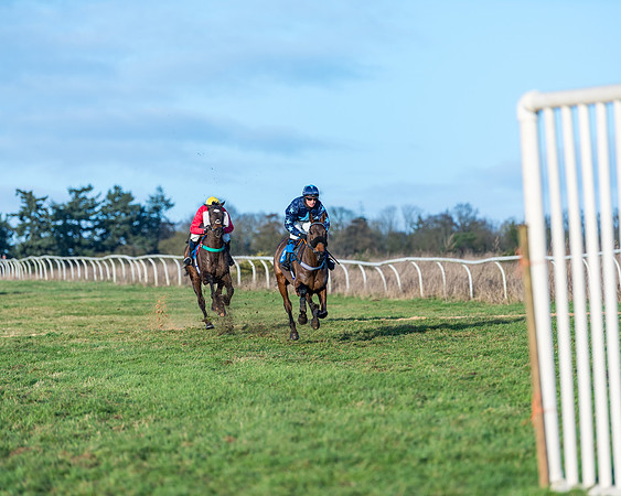 Race 5 - The Restricted Race (52 of 69)
