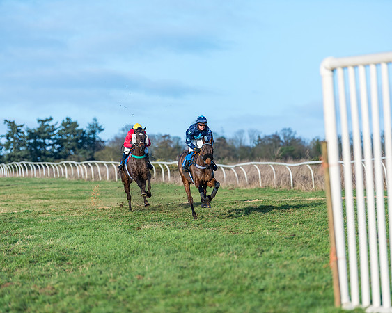Race 5 - The Restricted Race (53 of 69)