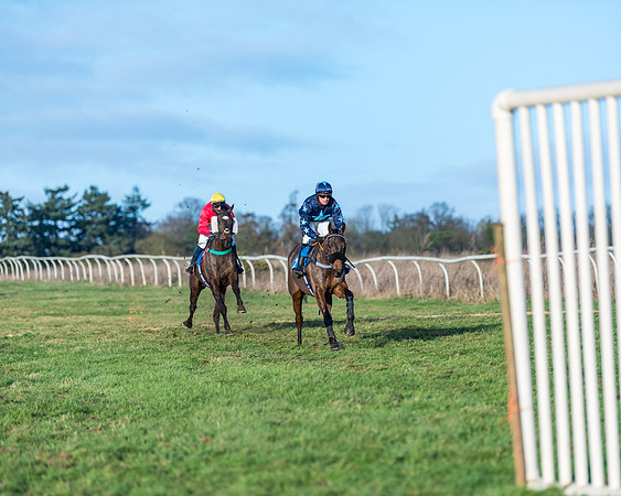 Race 5 - The Restricted Race (54 of 69)