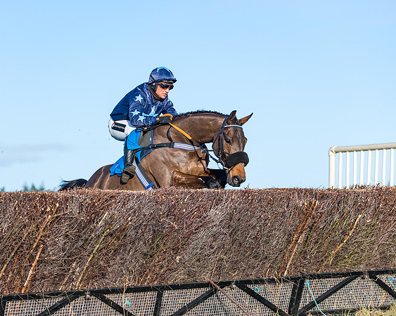 Race 5 - The Restricted Race (55 of 69)