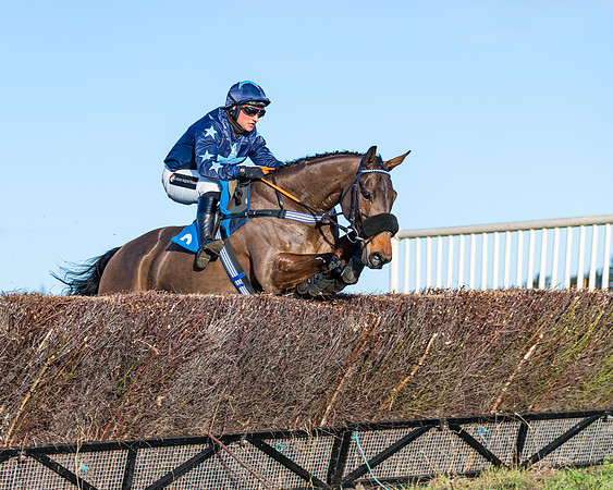 Race 5 - The Restricted Race (56 of 69)