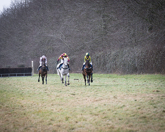 Race 3 - Ladies Open (50 of 109)