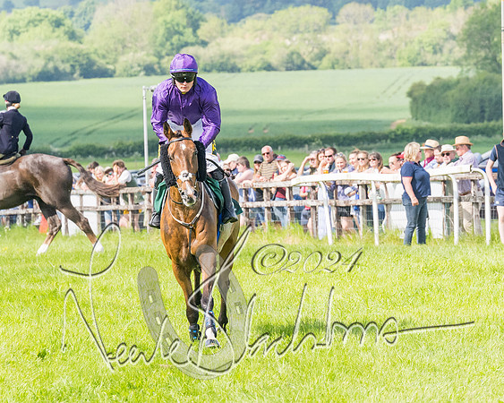 Race 4 - PPORA Novice Riders Final  (124 of 362)
