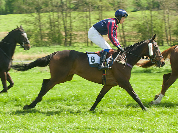 Race 2 - Open Maiden  23
