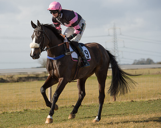 Race 1 - 4-5-6 Maiden (37 of 119).jpg