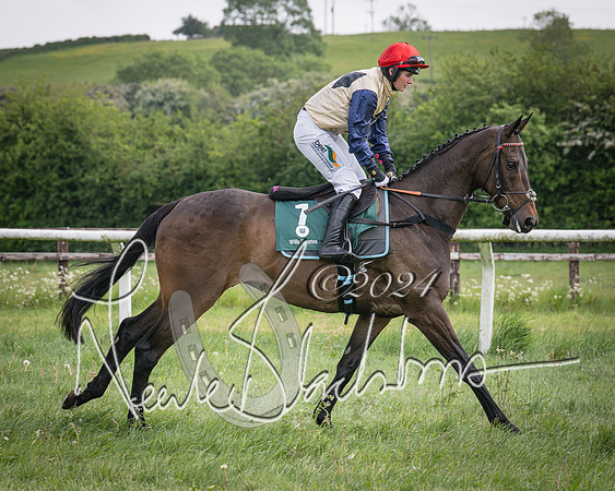 Race 1 - the Grafton adjacent hunts conditions race (level 2) (27 of 120)