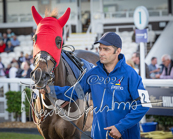 Race 5 - tipsterreviews.co.uk handicap (8 of 107)