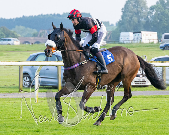 Race 5 - Peter Wright Handicap (27 of 117)