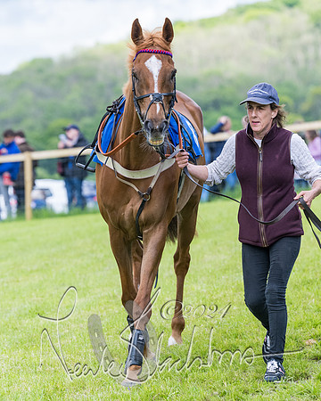 Race 3 - Conditions (4 of 367)