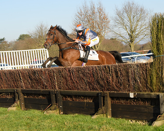 Race 2 - PPORA Novice Riders  (195 of 205)