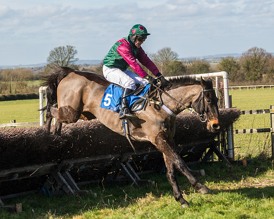 Race 1 - Open Maiden Division 2 (103 of 173)