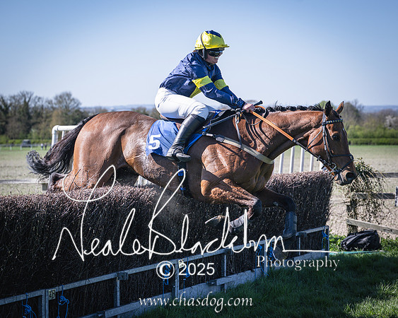 Race 5 - The restricted (103 of 113)