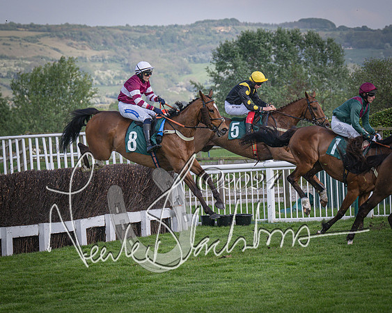 Race 2 - The Venatour sports travel intermediate point to point hunters’ steeplechase 5 year olds and over 3m2f (51 of 163)