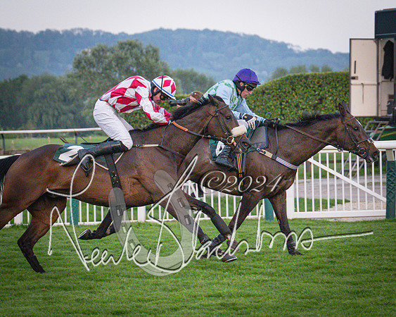 Race - 7 The Royal Gloucester Hussars Open Hunter's steeplechase 2m4f 127y (121 of 210)