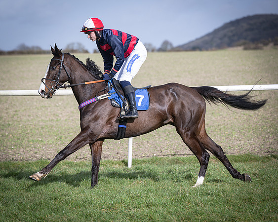 Race 3 - The Maiden Conditions (72 of 214)