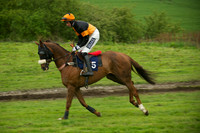 Race 7 - 2m4f Maiden 11