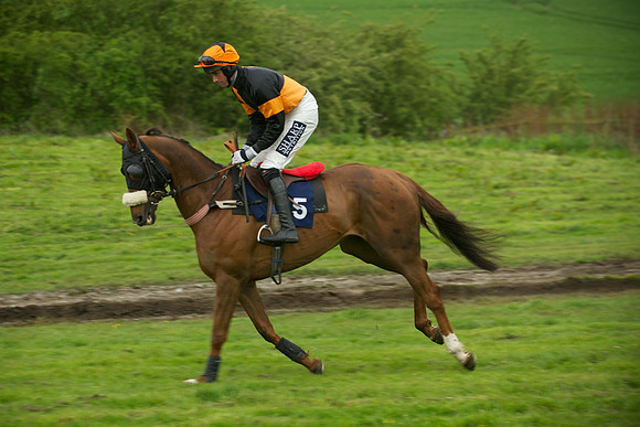 Race 7 - 2m4f Maiden 11