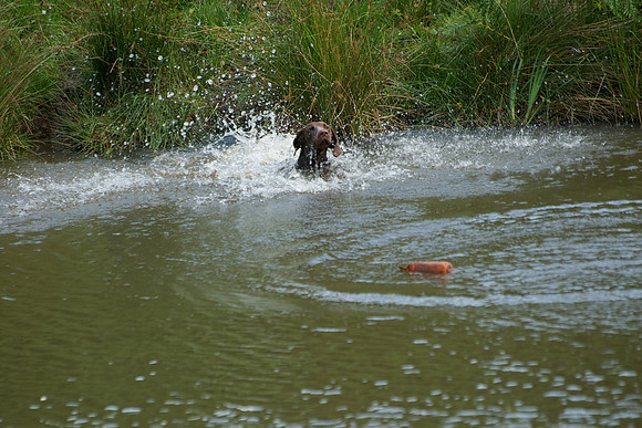 WCGB-04AUG-2013 Water Training Day 172
