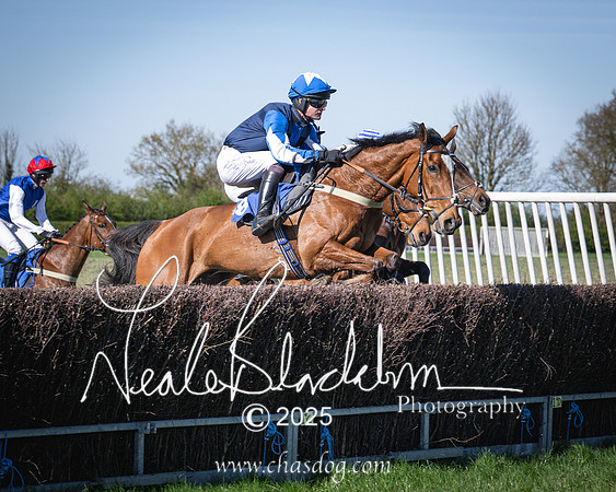 Race 6 - Veteran horse (49 of 109)