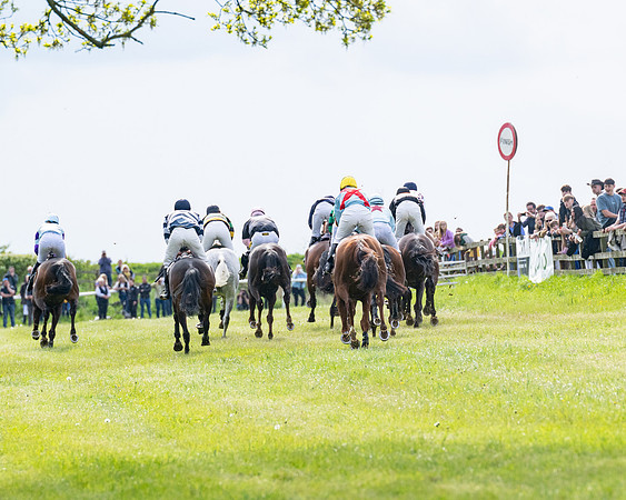 Race 5  - Novice riders (131 of 188)