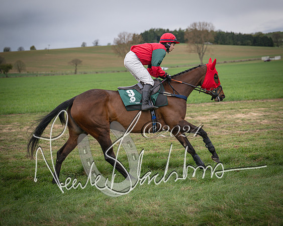 Race 6 - The Restricted Race (16 of 101)