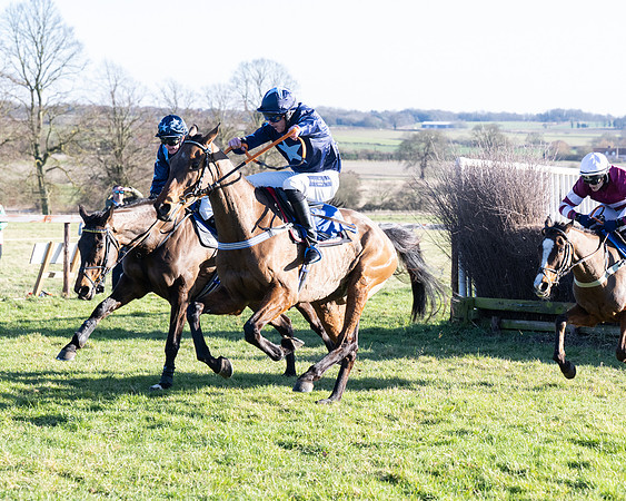 Race 5 - Maiden (110 of 123)