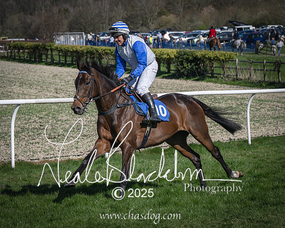 Race 6 - Veteran horse (35 of 109)