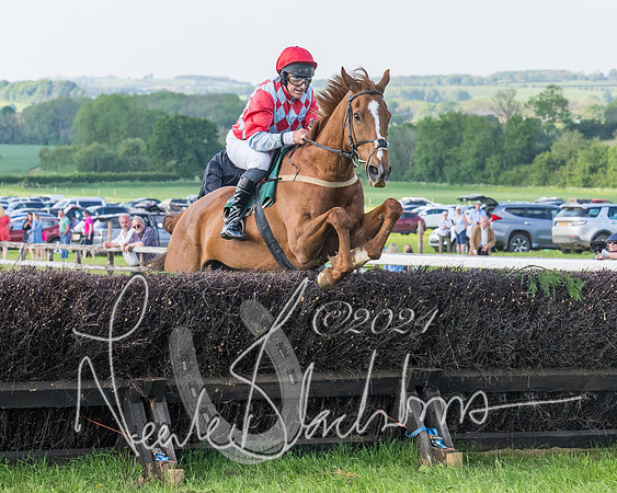 Race 7 - Veteran Horse (89 of 246)