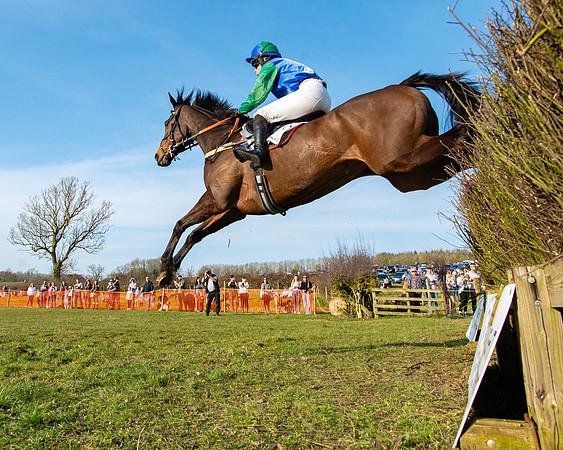Race 5 - PPORA Five years and over (99 of 163)