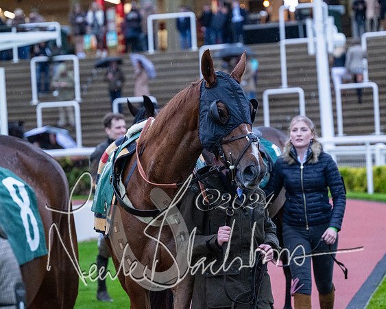 Race 7 - Glos Hussars (12 of 220)