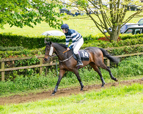 Race 5  - Novice riders (29 of 188)
