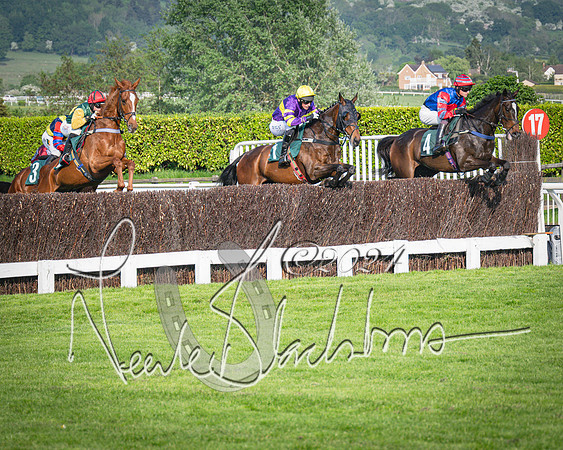 Race 3 - The Junior Jumpers open hunter's steeple chase 3m1f56y (46 of 156)
