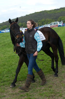 Pony Race 1 - 5