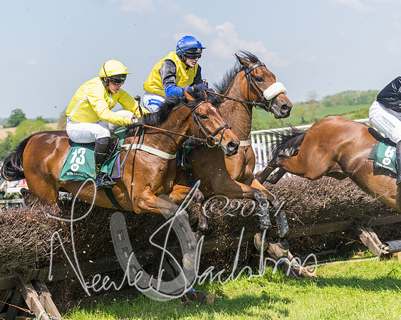 Race 2 - The Maiden  (268 of 442)