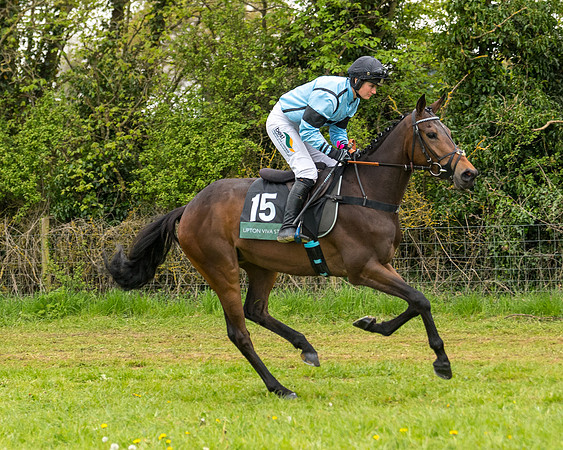 Race 7 - Open Maiden  (4 of 106)