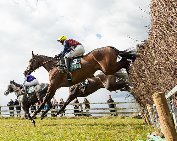 Race 5 - Restricted  (28 of 118)
