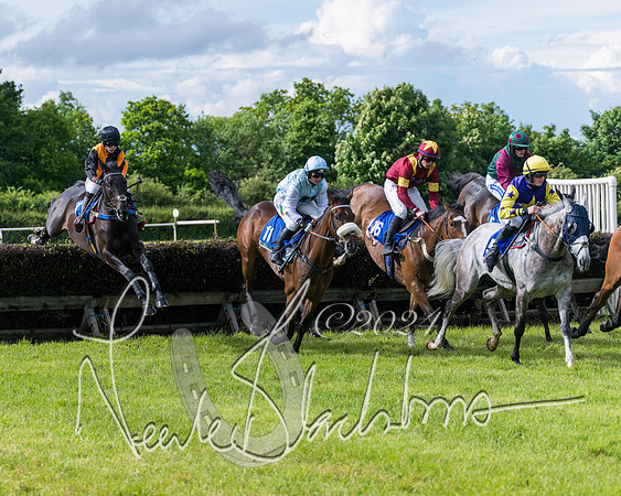 Race 5 - Restricted Race (204 of 434)
