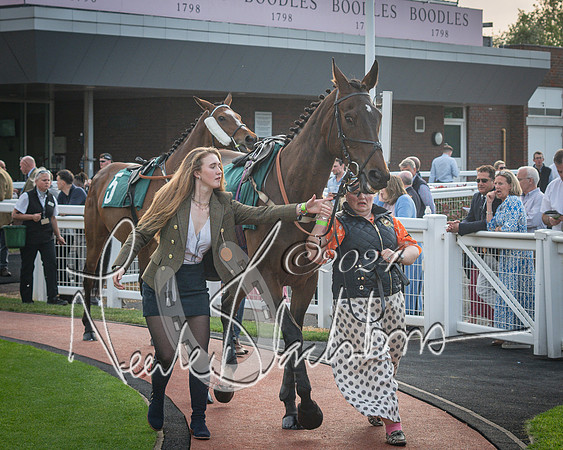 Race 5 - Mares Open Hunter Steeplechase 3m2f 70y (11 of 269)