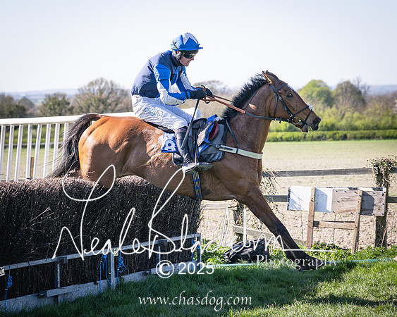 Race 6 - Veteran horse (89 of 109)