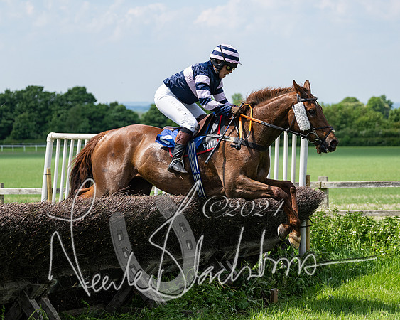 RAce 1 - Conditionsn [Level 2] (173 of 219)
