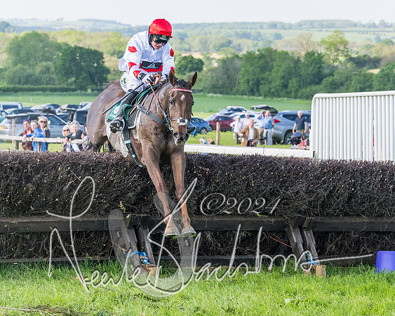 Race 7 - Veteran Horse (135 of 246)