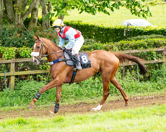 Race 5  - Novice riders (15 of 188)