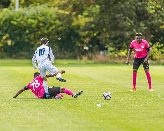 edsv 6-0 191016 (221 of 257)