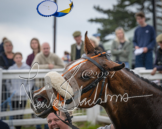 Race 1 - The PPORA members Conditions race [Level2] (47 of 61)