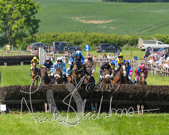 Race 2 - The Maiden  (195 of 442)