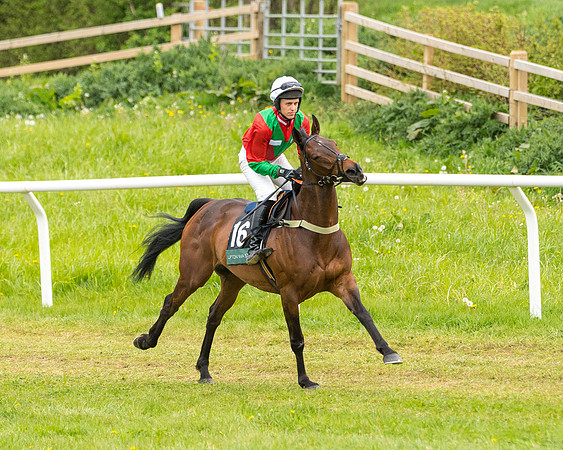 Race 7 - Open Maiden  (11 of 106)