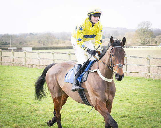 Race 1 - Four and Five year Old Maiden (36 of 137)