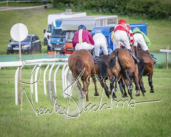 Race 6 - Thorn Plant Hire Maiden Race (81 of 129)